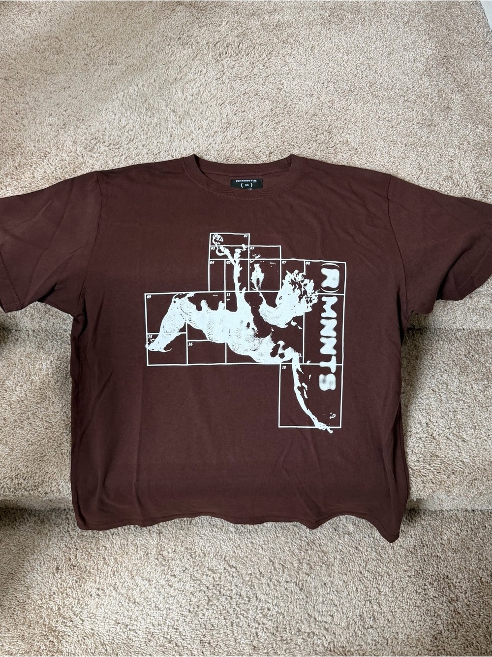 Men's Brown Graphic Crewneck T-Shirt with White Print